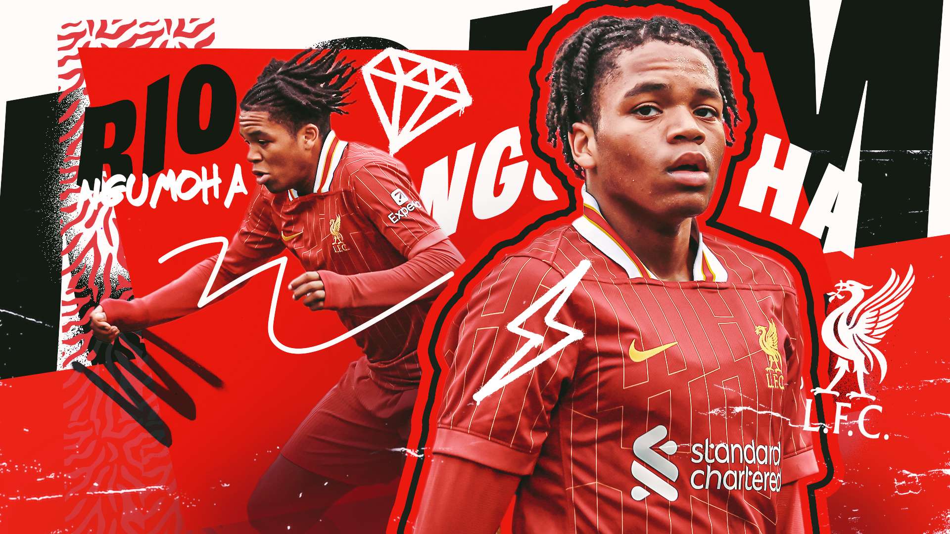 体现了优雅 体现了优雅