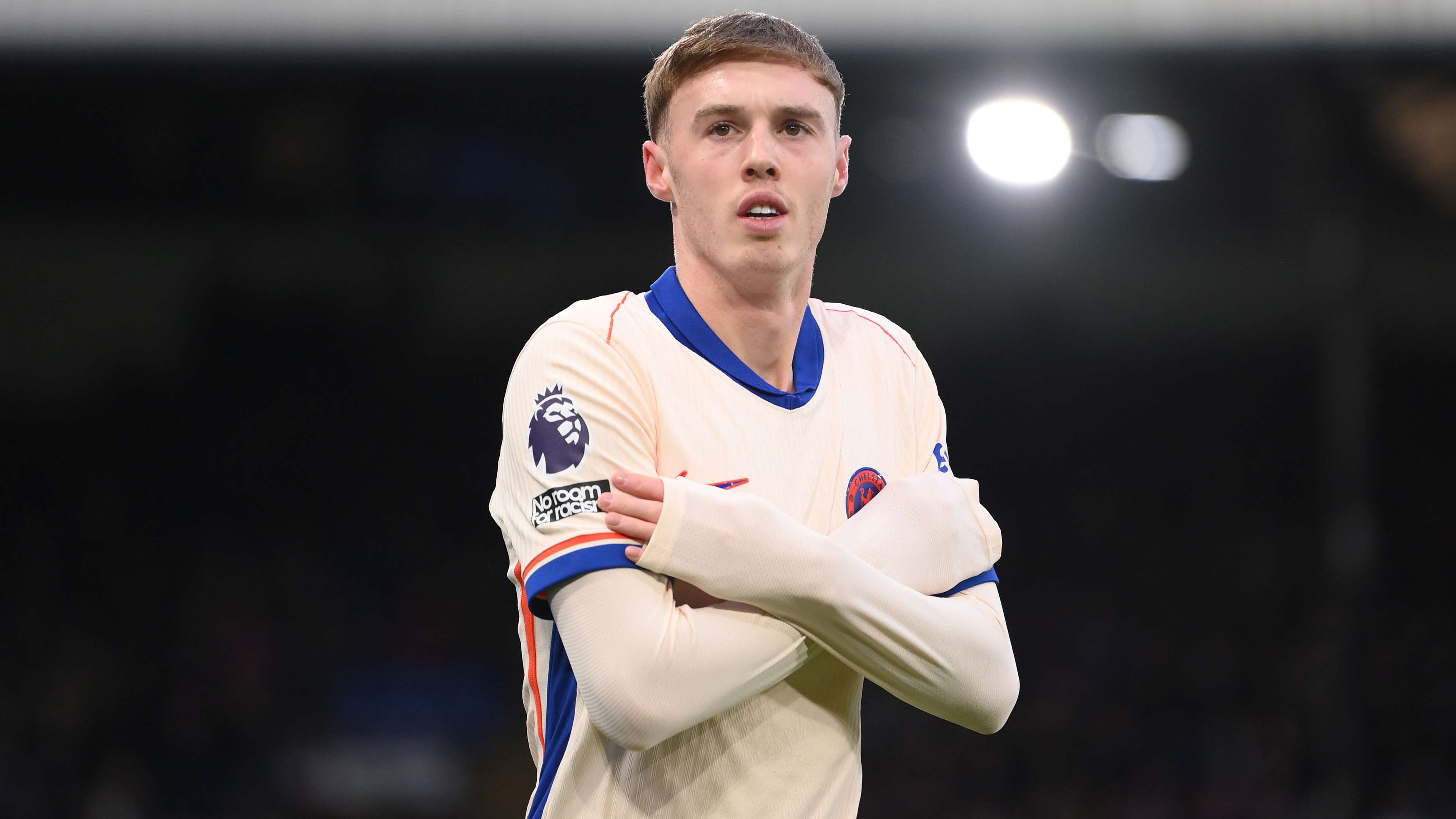 样是一个极 样是一个极